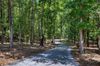 934 Marion Dairy Road photo